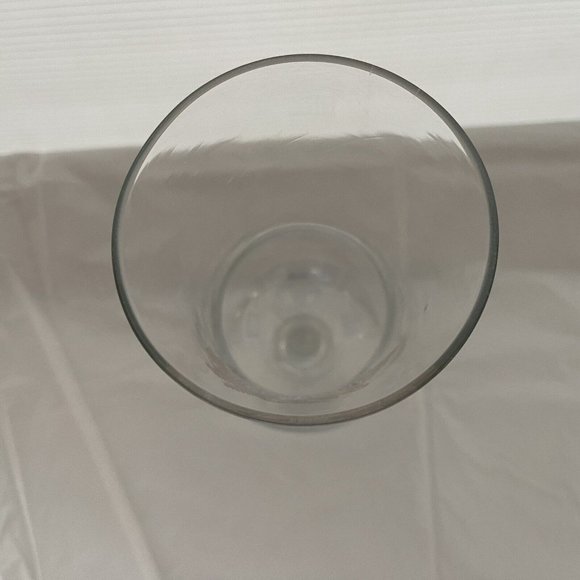 Rainforest Cafe Downtown Disney Anaheim Collectable Hurricane Souvenir Glass Cup - Picture 4 of 10